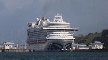 Deforestación afecta 8 mil metros cuadrados del área protegida Lago Gatún en Panamá