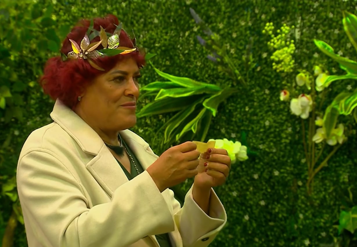 Pimpinela Escarlata se encuentra entre los nominados de la semana a la espera de la votación del público. (Captura de pantalla )