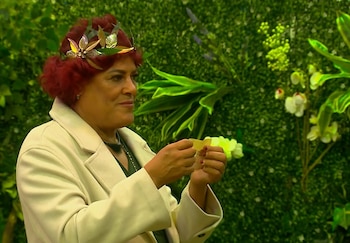Pimpinela Escarlata se encuentra entre los nominados de la semana a la espera de la votación.
