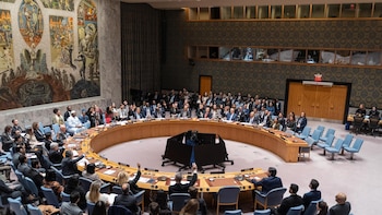 El Consejo de Seguridad de