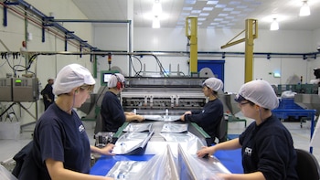 El BOE publica la prórroga