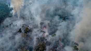La repentina promesa de Bolsonaro