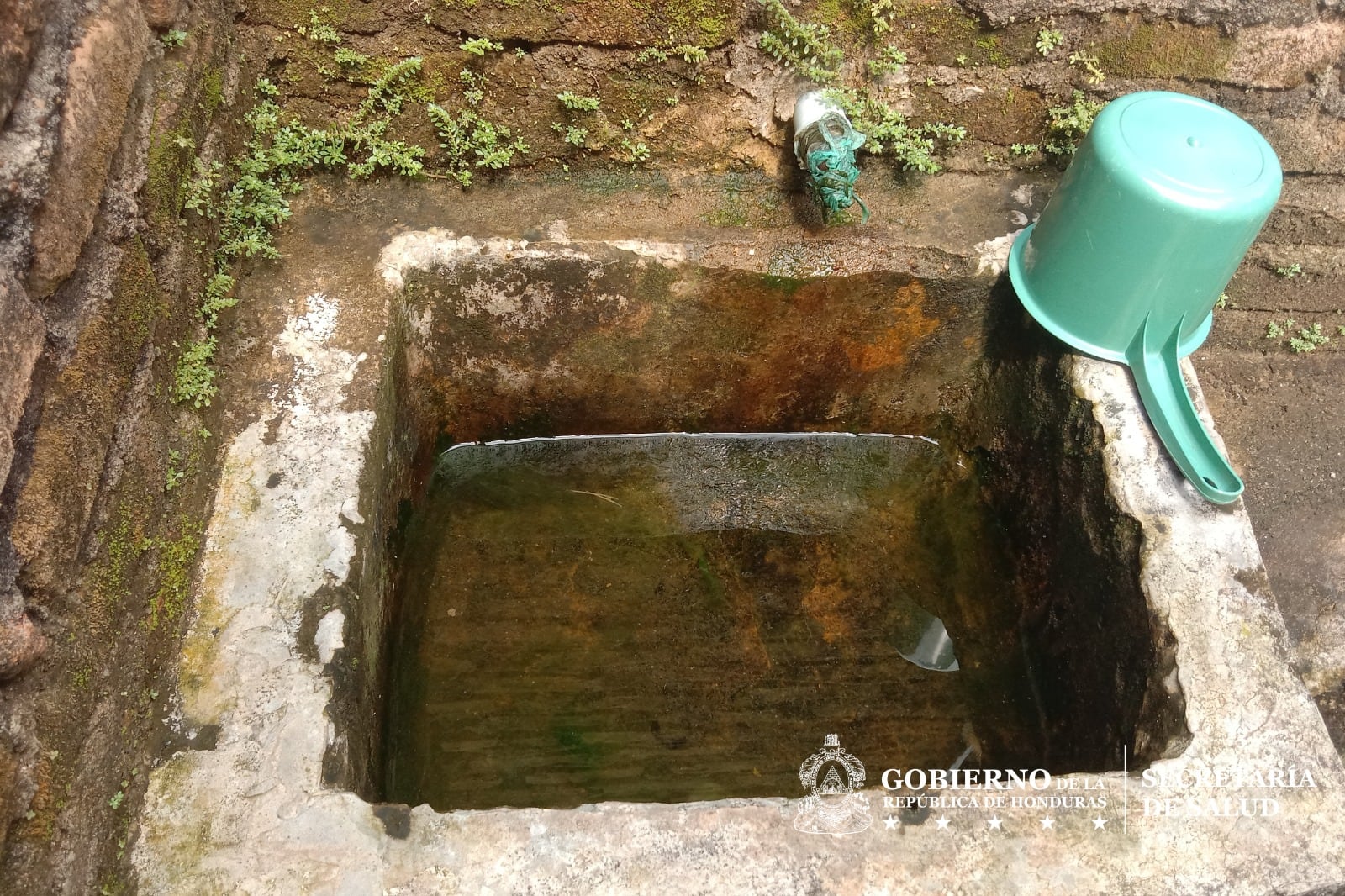 Las brigadas sanitarias realizan visitas domiciliarias para identificar criaderos. (Foto: SESAL)