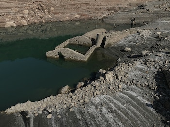 Ex habitantes de Kallio observan