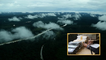 Así es como la Amazonía