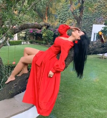 La afamada artista tiene una