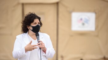 Carla Vizzotti anunció que este