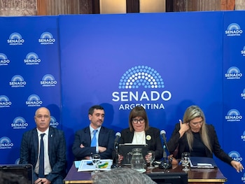 Conferencia de Patricia Bullrich en el Senado por la Ley de Tierras