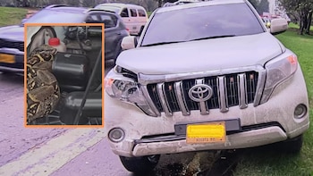 Una boa apareció dentro del capó de una camioneta en Bogotá: así fue el hallazgo