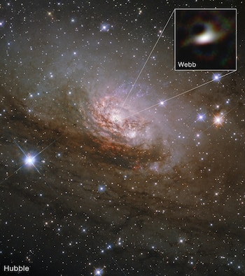 Esta imagen divulgada por los