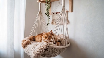 MASCOTAS FELICES DECO