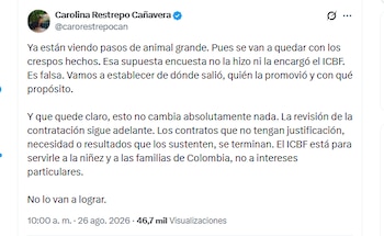 El directora del Icbf, Carolina Restrepo Cañavera, aseguró que la encuesta que generó polémica no la hizo ni la encargó la entidad - crédito @carorestrepocan/X