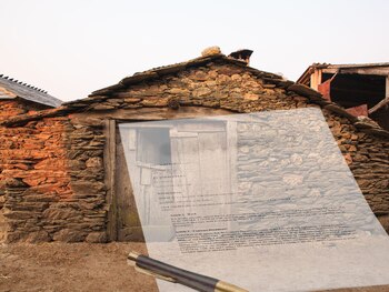 la Segunda Delegada para la