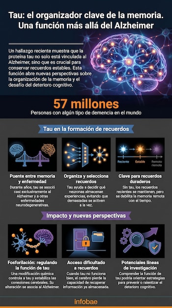 Infografía con un cerebro brillante y redes neuronales, que detalla el papel de la proteína tau en la memoria. Incluye texto, cifras y seis iconos temáticos.