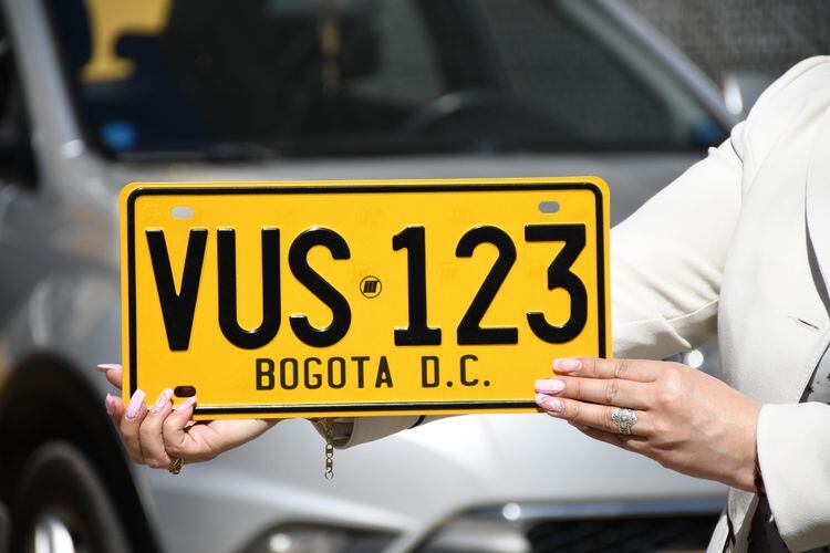 Las causas para solicitar el duplicado de placa incluyen deterioro visible, robo o pérdida del elemento original, conforme a la normativa del Ministerio de Transporte - crédito Ventanilla Única de Servicios