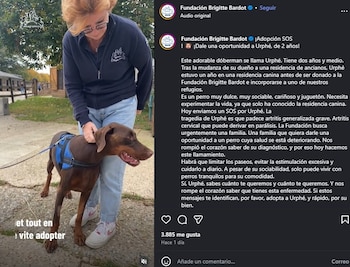 Brigitte Bardot apareció en un