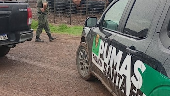 Recuperaron 161 animales tras el