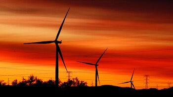 Expertos reclaman "acelerar el ritmo"