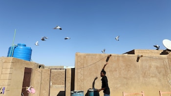 Las RSF lanzan una ofensiva