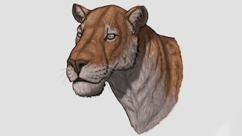 Los dientes de sable cazaban