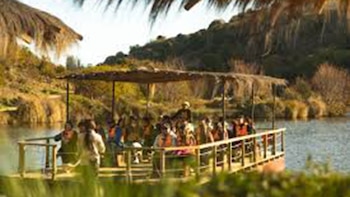 Turistas practicando el avistamiento de