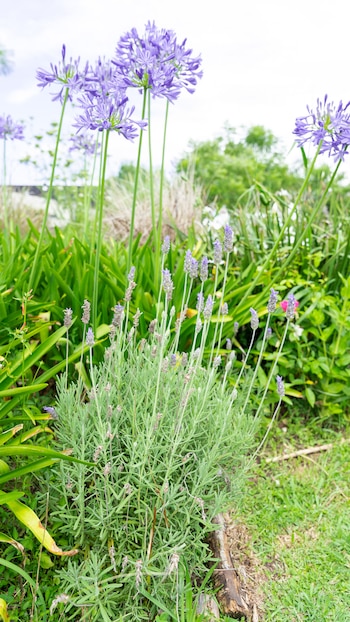 La exposición al sol potencia