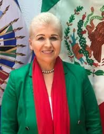 Luz Elena Baños Rivas es