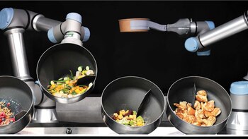 Los brazos robóticos del sistema