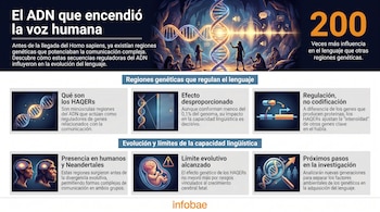 Infografía sobre el ADN que encendió la voz humana. Muestra una espiral de ADN, figuras humanas prehistóricas, diagramas genéticos y de regulación, fetos y cerebros.
