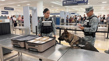 Aseguran 10 kilos de cocaína a ciudadano alemán en el Aeropuerto Internacional de Cancún