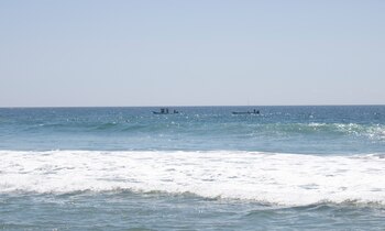 Testimonios afirman que el joven