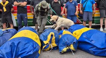 Los agentes requisan los micros