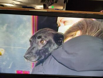 Sammy en los hombros de