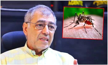 Vacunar los mosquitos, la propuesta