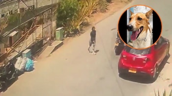 Denuncian presunto abandono de un perrito en La Estrella: lo dejaron amarrado frente a albergue
