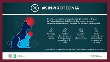 La pirotecnia tiene consecuencias graves