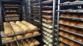 ¿Sube el precio del pan? Gremio asegura que panaderías están en riesgo de cerrar por elevado costo de los insumos