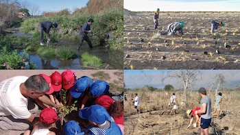 La restauración ecológica busca devolver