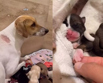 Campanhas de mídia social