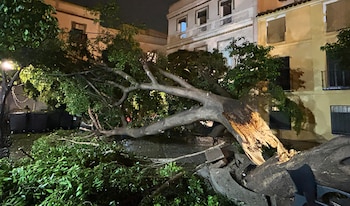 El 112 coordina una treintena