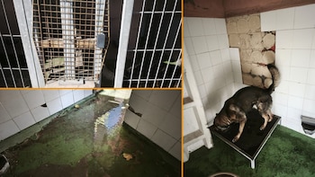 Las condiciones “tercermundistas” en la