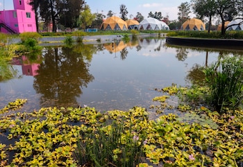 El director general de Obras