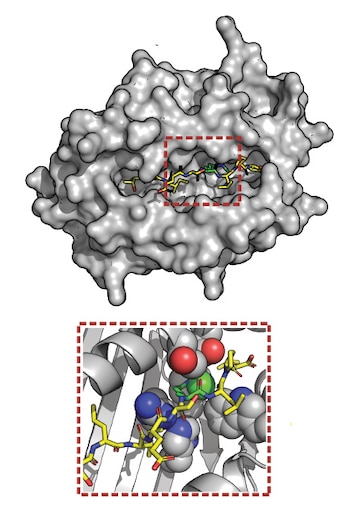 Modelo 3D de un complejo