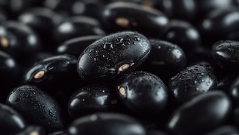 Los frijoles negros se destacan