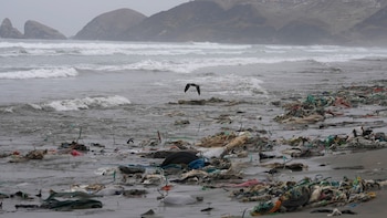 Estas playas no son saludables