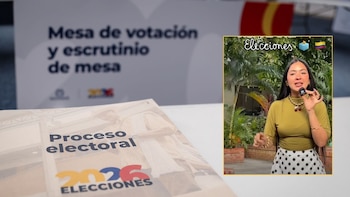 Profesora e ‘influencer’ explicó cómo usar la IA para decidir por quién votar con argumentos propios: “Más claro que la changua”