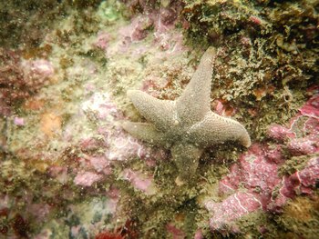 expedicion Peninsula Mitre
