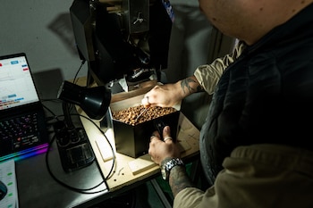 Persona manipula granos de café tostados en una bandeja metálica. Máquina tostadora, laptop con gráficos, lámpara de mesa y cables sobre superficie de madera