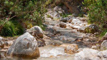 Ruta por el río Chíllar,