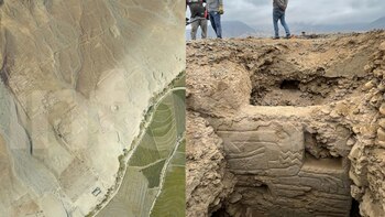 La belleza y fragilidad de